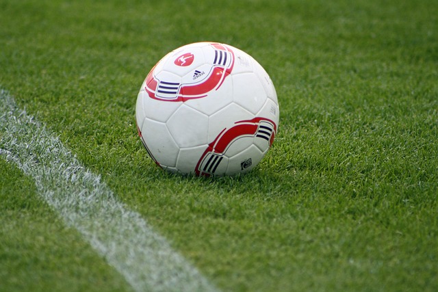 真正的领袖 真正的领袖