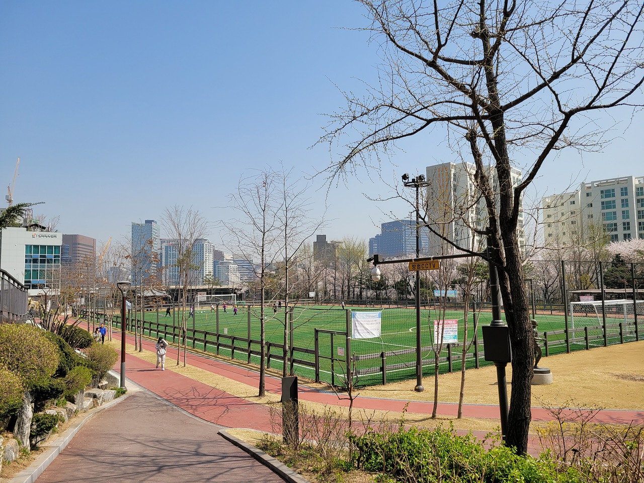 球队开始调 球队开始调