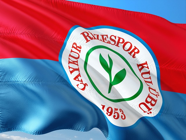 的未来规划 的未来规划