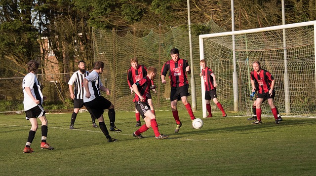 传统中国 传统中国