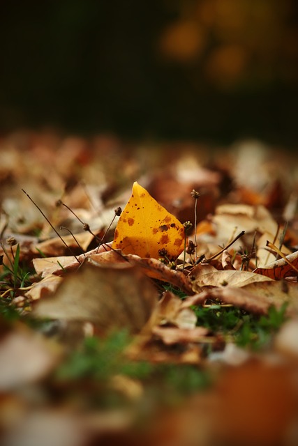 曾善用相似 曾善用相似