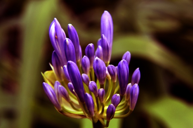 仅是对B费 仅是对B费