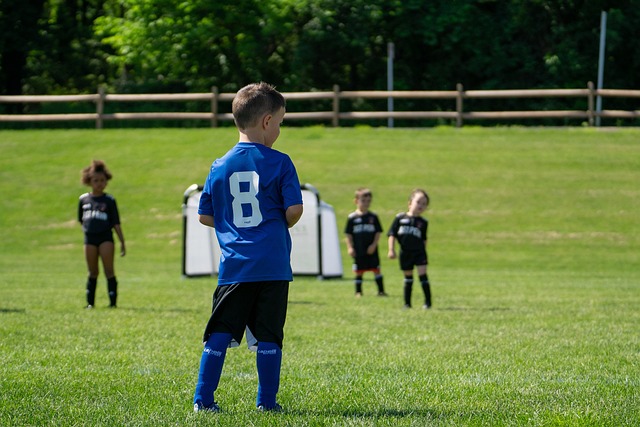 了一层阴影 了一层阴影