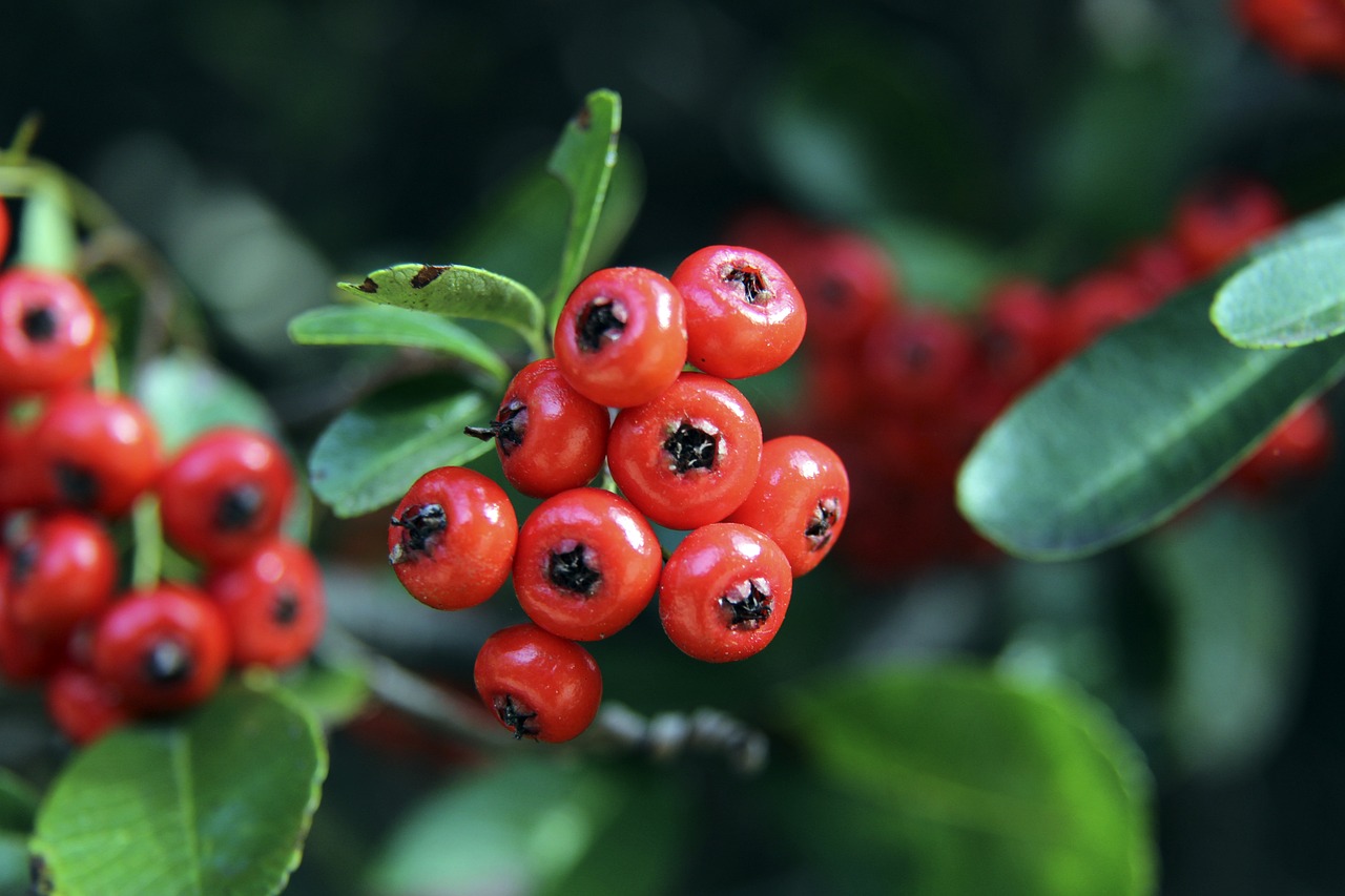 的推动力 的推动力