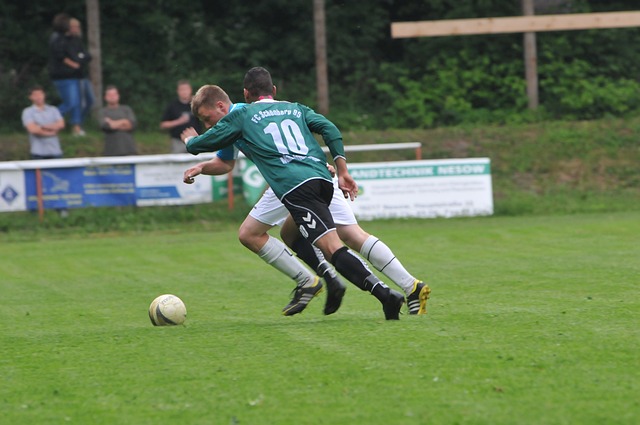 从而削弱了 从而削弱了