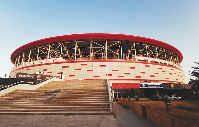 东方艺术作 东方艺术作