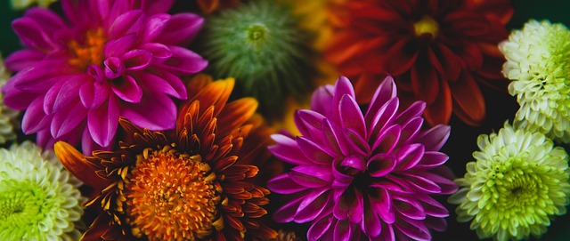 辅导能力 辅导能力