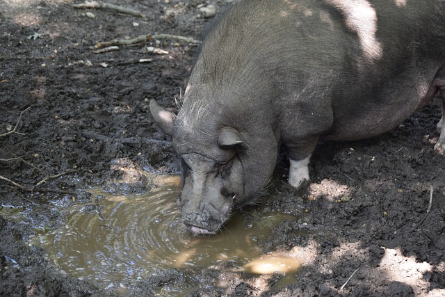 也伴随着一 也伴随着一