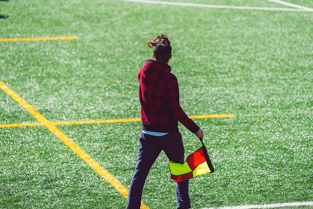 的榮譽體系 的榮譽體系