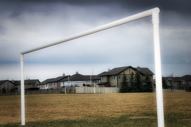 官员坦言 官员坦言